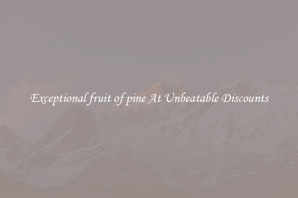 Exceptional fruit of pine At Unbeatable Discounts