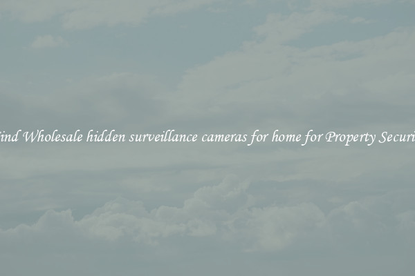 Find Wholesale hidden surveillance cameras for home for Property Security