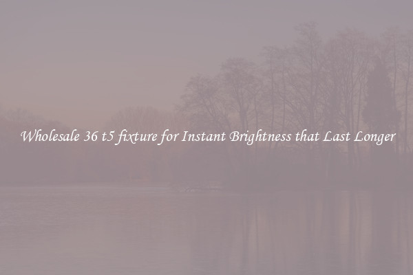 Wholesale 36 t5 fixture for Instant Brightness that Last Longer