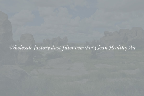 Wholesale factory dust filter oem For Clean Healthy Air