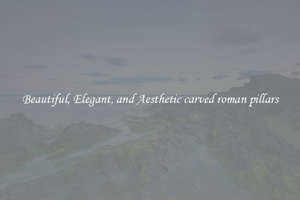 Beautiful, Elegant, and Aesthetic carved roman pillars