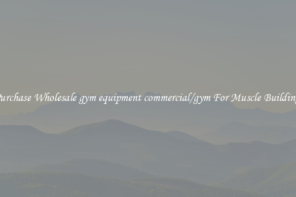 Purchase Wholesale gym equipment commercial/gym For Muscle Building.