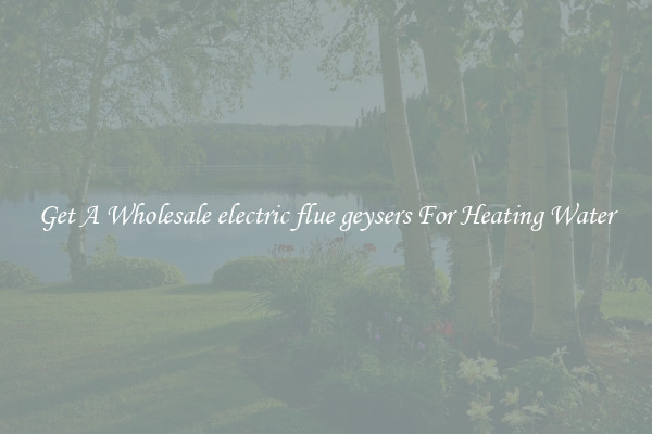 Get A Wholesale electric flue geysers For Heating Water