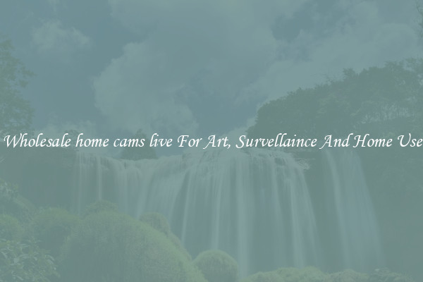 Wholesale home cams live For Art, Survellaince And Home Use