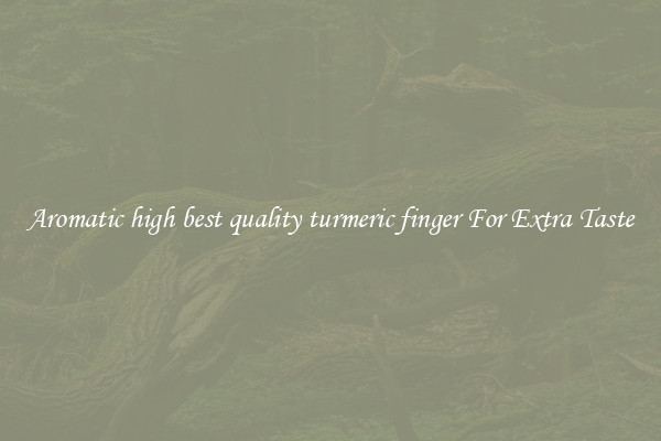 Aromatic high best quality turmeric finger For Extra Taste