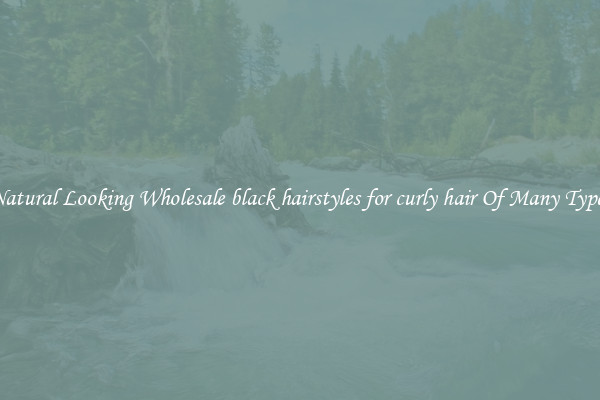 Natural Looking Wholesale black hairstyles for curly hair Of Many Types
