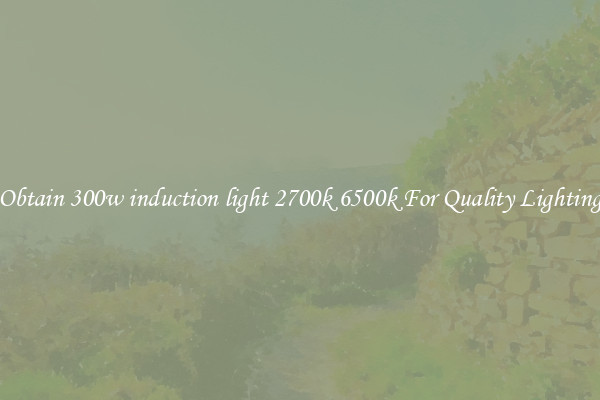 Obtain 300w induction light 2700k 6500k For Quality Lighting