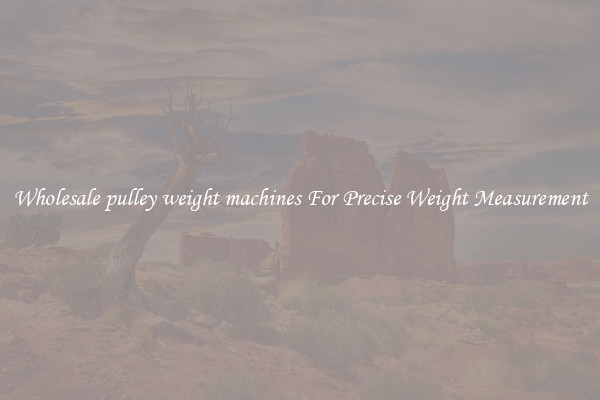 Wholesale pulley weight machines For Precise Weight Measurement