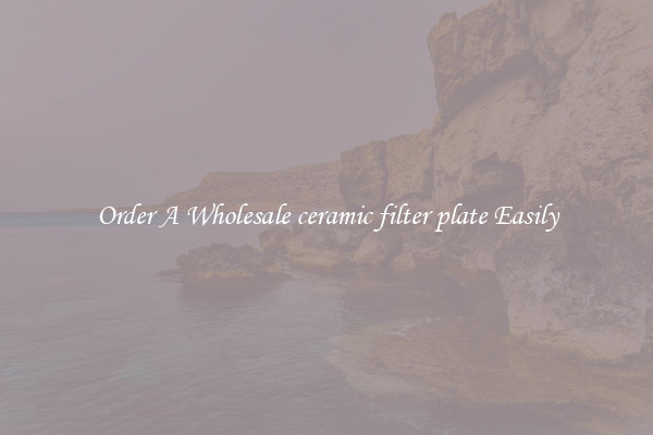 Order A Wholesale ceramic filter plate Easily