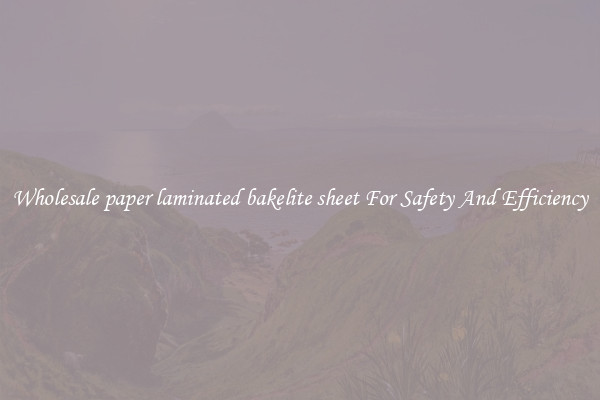 Wholesale paper laminated bakelite sheet For Safety And Efficiency