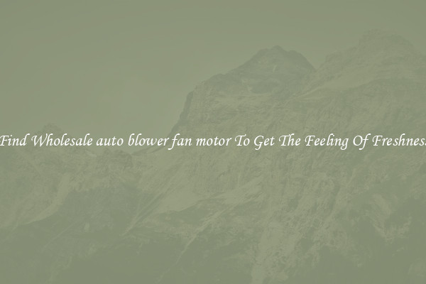 Find Wholesale auto blower fan motor To Get The Feeling Of Freshness
