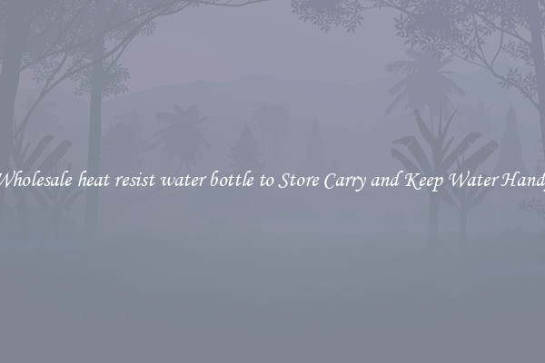 Wholesale heat resist water bottle to Store Carry and Keep Water Handy