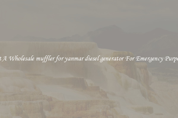 Get A Wholesale muffler for yanmar diesel generator For Emergency Purposes