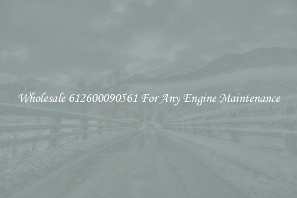 Wholesale 612600090561 For Any Engine Maintenance