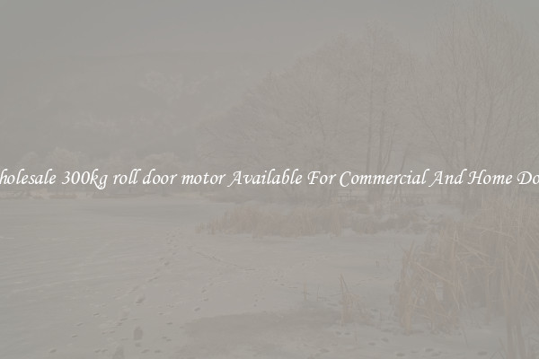 Wholesale 300kg roll door motor Available For Commercial And Home Doors