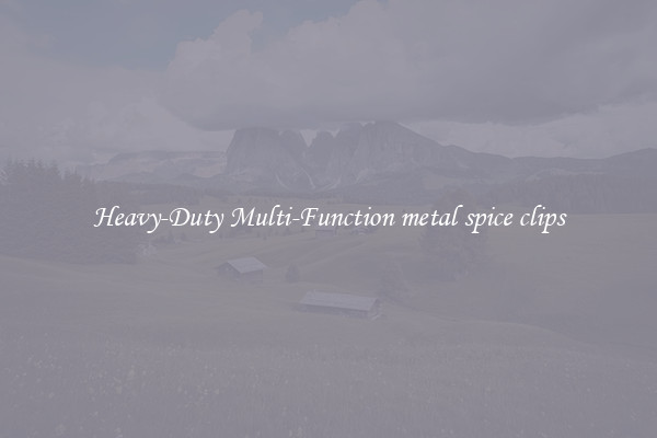 Heavy-Duty Multi-Function metal spice clips