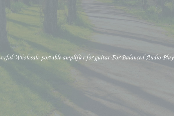 Powerful Wholesale portable amplifier for guitar For Balanced Audio Playback