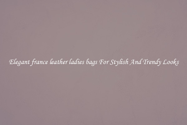 Elegant france leather ladies bags For Stylish And Trendy Looks