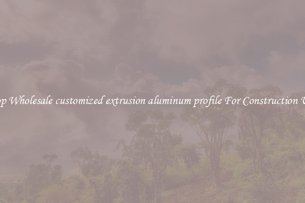 Shop Wholesale customized extrusion aluminum profile For Construction Uses
