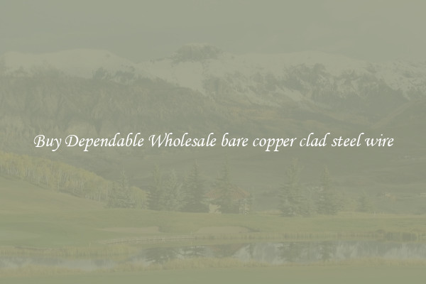 Buy Dependable Wholesale bare copper clad steel wire