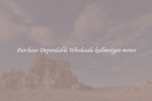 Purchase Dependable Wholesale kollmorgen motor