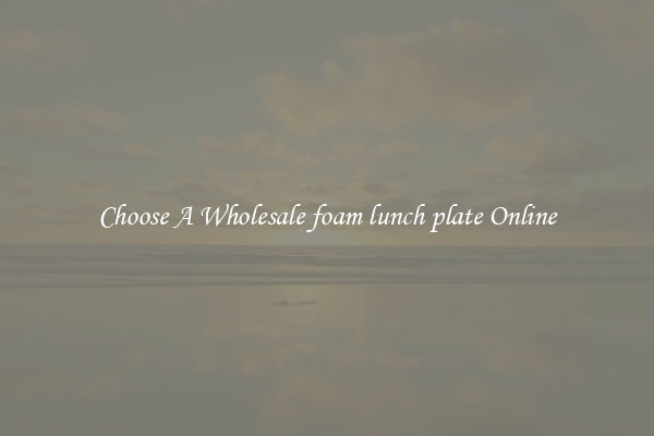 Choose A Wholesale foam lunch plate Online