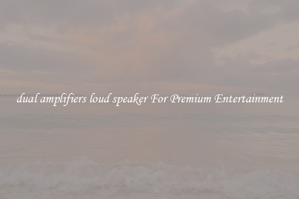 dual amplifiers loud speaker For Premium Entertainment
