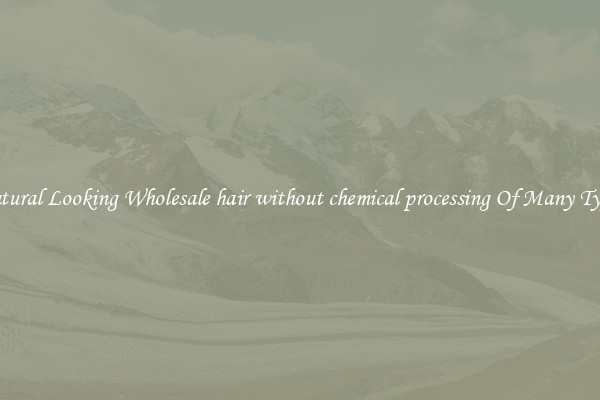 Natural Looking Wholesale hair without chemical processing Of Many Types