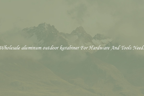 Wholesale aluminum outdoor karabiner For Hardware And Tools Needs