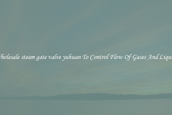 Wholesale steam gate valve yuhuan To Control Flow Of Gases And Liquids